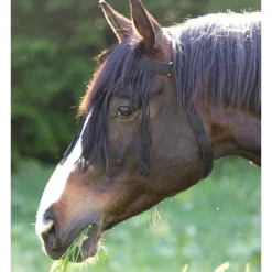 WALDHAUSEN Frontal anti-mouche cheval avec têtière -< Bonnet Anti-Mouche Cheval