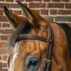 DYON Frontal cheval droit D Collection - Dy'on< Accessoires De Bridon Cheval