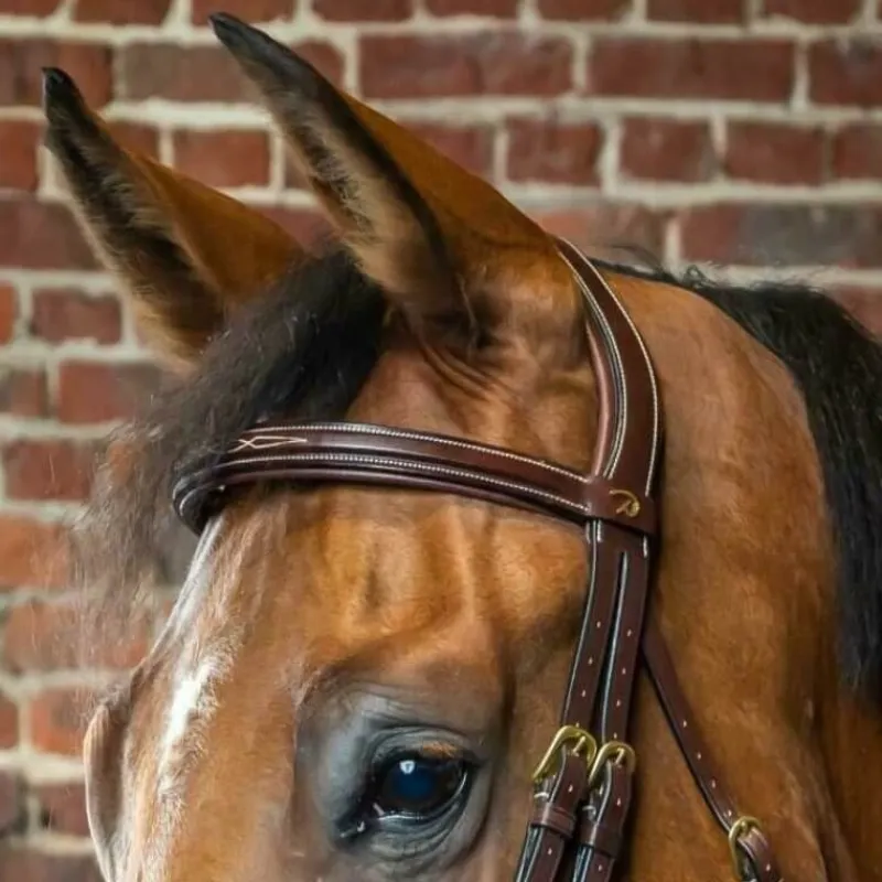 DYON Frontal cheval droit D Collection - Dy'on< Accessoires De Bridon Cheval