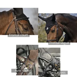 IHWT Frontal cheval Fantaisie -< Accessoires De Bridon Cheval