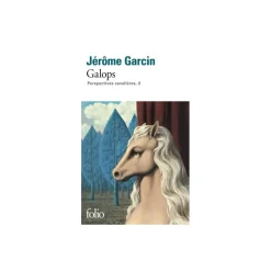 EQUIBOOKS GALLIMARD PERSPECTIVES CAVALIERES T.2 GALOPS< Librairie Equibooks