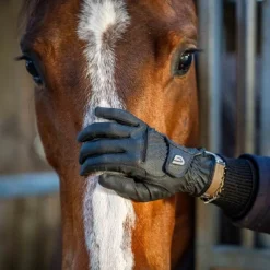 GLOVERS Gants équitation Classic Riding -< Gants D'Équitation