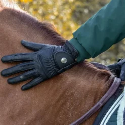 HARCOUR Gants équitation toutes saisons rider Molly -< Gants D'Équitation
