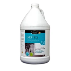 HORSE MASTER Gastrix Protection gastrique cheval -< Ulcère Cheval