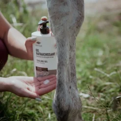 EKINAT Gel rafraichissant cheval bio -< Baume Et Gel Refroidissant Cheval