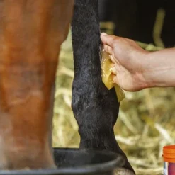 EQUINATURA Gel réfrigérant cheval 600 ml -< Equipement Concours|Baume Et Gel Refroidissant Cheval