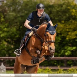 SWING Gilet de protection équitation Adulte P24 Max -< Equipement Équitation Pas Cher|Gilets De Protection Équitation