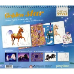 EQUIBOOKS Golden Star - Cheval style - Playbac< Librairie Equibooks