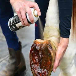 GAMME DU MARECHAL Goudron de Norvège sabot cheval - Gamme du Maréchal< Goudron Sabot