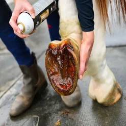 GAMME DU MARECHAL Goudron de Norvège sabot cheval - Gamme du Maréchal< Goudron Sabot