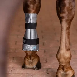 WALDHAUSEN Guêtre cheval chaud froid Hot-Chilly Leg -< Protections Thérapeutiques Chevaux