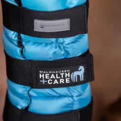 WALDHAUSEN Guêtre rafraîchissante cheval -< Protections Thérapeutiques Chevaux