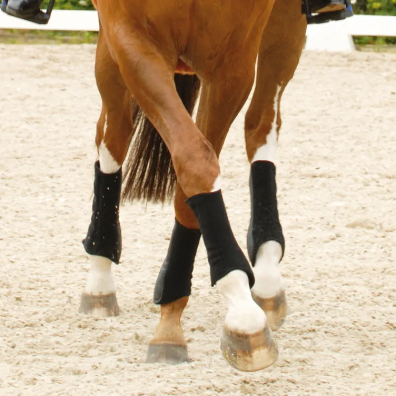 MATTES Guêtres cheval antérieurs Hi Pro personnalisables -< Guêtres Antérieures
