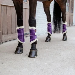 KENTUCKY HORSEWEAR Guêtres cheval Brushing Velvet Contrast - Kentucky< Guêtres Postérieures|Guêtres Antérieures