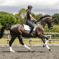 EQUILIBRIUM Guêtres cheval Stretch and Flex intégrales -< Guêtres Postérieures|Guêtres Antérieures