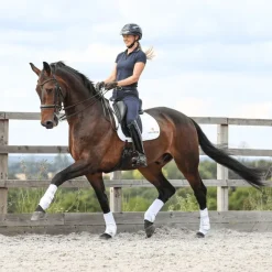 EQUILIBRIUM Guêtres cheval Stretch and Flex intégrales -< Guêtres Postérieures|Guêtres Antérieures
