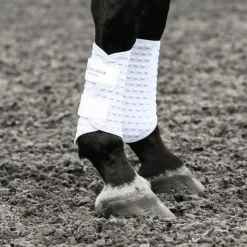 EQUILIBRIUM Guêtres cheval Stretch and Flex -< Guêtres Postérieures|Guêtres Antérieures