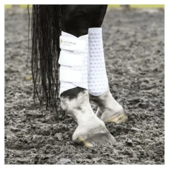 EQUILIBRIUM Guêtres cheval Stretch and Flex -< Guêtres Postérieures|Guêtres Antérieures