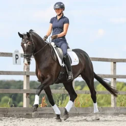 EQUILIBRIUM Guêtres cheval Stretch and Flex -< Guêtres Postérieures|Guêtres Antérieures