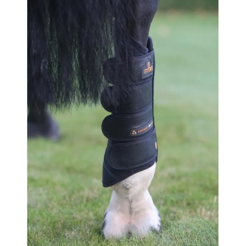 KENTUCKY HORSEWEAR Guêtres de cross cheval postérieures Air Tech - Kentucky< Guêtres Postérieures