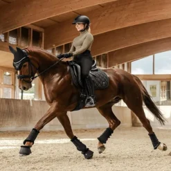WALDHAUSEN Guêtres de dressage cheval Phoenix -< Guêtres Postérieures|Guêtres Antérieures