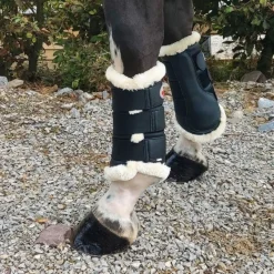 BUCAS Guêtres de dressage cheval en mouton -< Guêtres Postérieures|Guêtres Antérieures