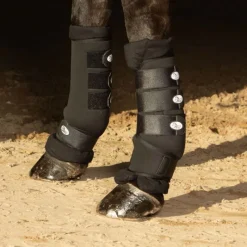 HARRY'S HORSE Guêtres de repos cheval Pads -< Equipement Concours|Protections De Repos
