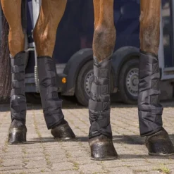 RIDING WORLD Guêtres de transport cheval économiques (x4) -< Protections De Transport