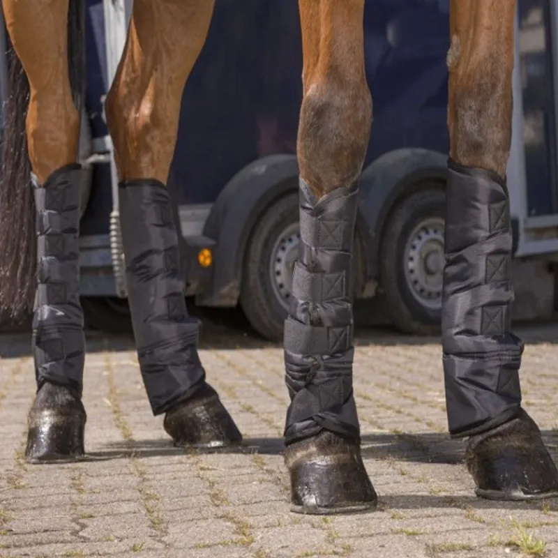 RIDING WORLD Guêtres de transport cheval économiques (x4) -< Protections De Transport