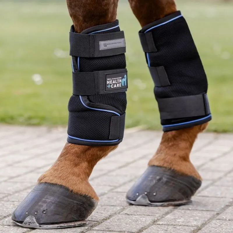 WALDHAUSEN Guêtres rafraichissantes cheval Health + Care Ice Layer -< Protections Thérapeutiques Chevaux|Protections De Repos