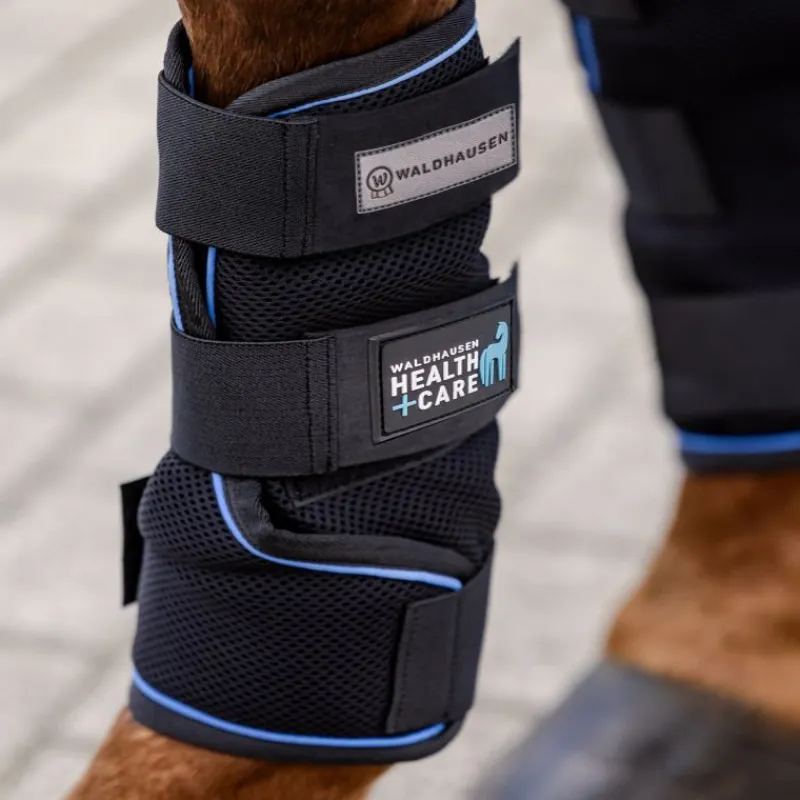 WALDHAUSEN Guêtres rafraichissantes cheval Health + Care Ice Layer -< Protections Thérapeutiques Chevaux|Protections De Repos