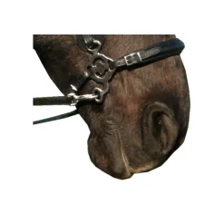 F.R.A. Hackamore nose part haute qualité Calli - F.r.a< Mors Cheval