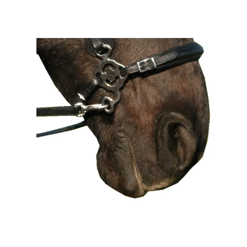 F.R.A. Hackamore nose part haute qualité Calli - F.r.a< Mors Cheval