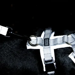 KENTUCKY DOGWEAR Harnais pour chien réfléchissant Active Reflective -< Colliers Et Laisses Pour Chien