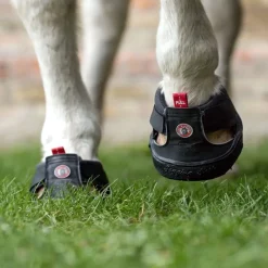 EQUINE FUSION Hipposandale cheval Trekking Slim -< Botte Soin Sabot Et Hipposandales