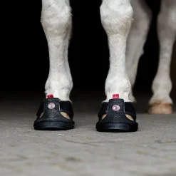EQUINE FUSION Hipposandale cheval Trekking Slim -< Botte Soin Sabot Et Hipposandales