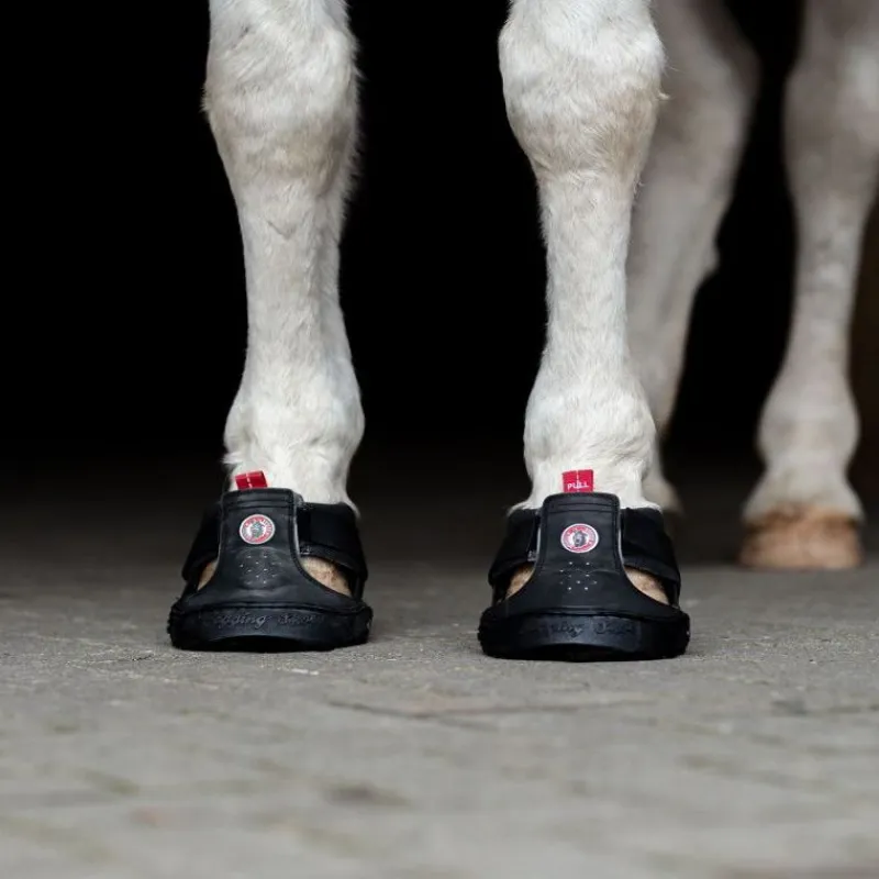 EQUINE FUSION Hipposandale cheval Trekking Slim -< Botte Soin Sabot Et Hipposandales