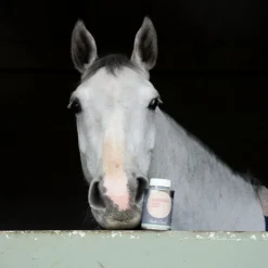 ALODIS CARE Hoof Choc huile sabot sensible cheval -< Corne Molle Sabot Cheval|Sabot Cheval Sec Et Cassant