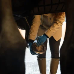 ALODIS CARE Hoof Clay - Argile sabot cheval -< Fourbure Cheval|Argile Cheval