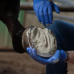 ALODIS CARE Hoof Clay - Argile sabot cheval -< Fourbure Cheval|Argile Cheval