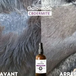GALOWADE Huile dermite estivale cheval CBDermite Date courte -< Produits Soin Cheval Anti- Gaspi|Complément Dates Courtes