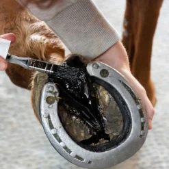 ALODIS CARE Huile fourchettes Clean -< Fourchette Pourrie Cheval