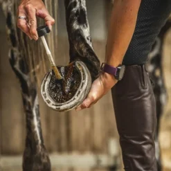 Huile pour sabots Arbre à thé - Carr and Day and Martin< Huile Sabot Cheval
