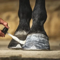 CARR AND DAY AND MARTIN Huile pour sabots Daily Hoof Moisturiser Cornucrescine -< Sabot Cheval Sec Et Cassant|Huile Sabot Cheval