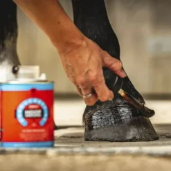 CARR AND DAY AND MARTIN Huile sabot cheval cornucrescine Hoof Dressing - Carr & Day & Martin< Huile Sabot Cheval