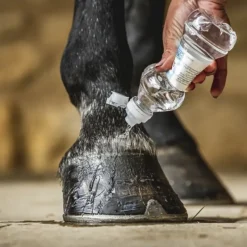 CARR AND DAY AND MARTIN Huile sabots cheval Daily Hoof Barrier Cornucrescine - Carr & Day & Martin< Corne Molle Sabot Cheval|Huile Sabot Cheval