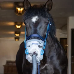 AIR ONE Inhalateur à ultrasons cheval complet sur secteur - Hippomed< Nebulisateur Et Inhalateur Cheval|Accessoires Thérapeutiques