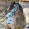 AIR ONE Inhalateur à ultrasons cheval complet Flex sans fil - Hippomed< Nebulisateur Et Inhalateur Cheval|Accessoires Thérapeutiques