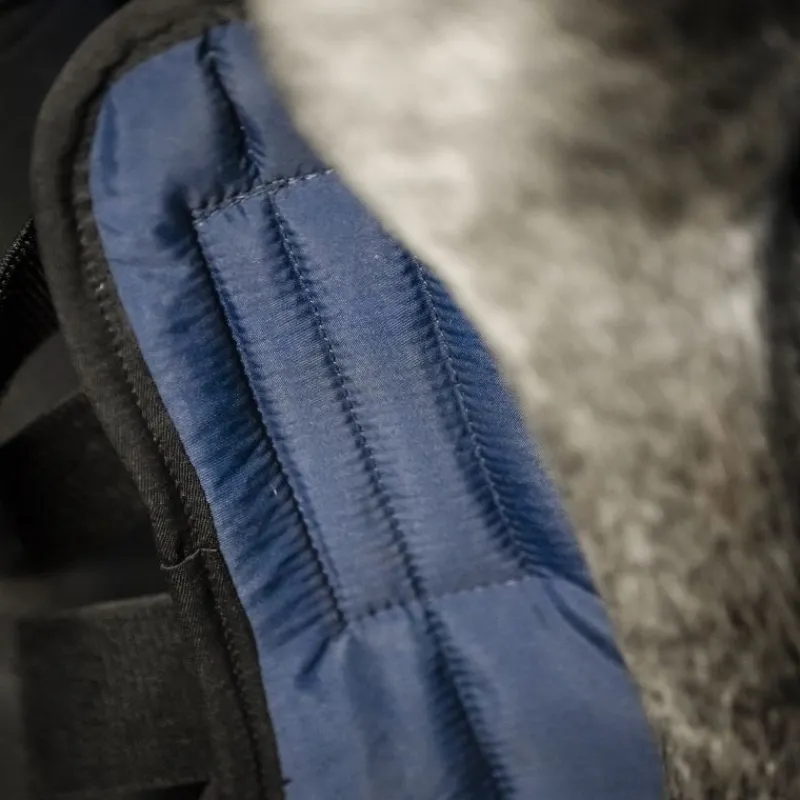 HORSEWARE Intérieur guêtres de repos cheval thérapeutiques Ionic -< Protections Thérapeutiques Chevaux|Accessoires Thérapeutiques