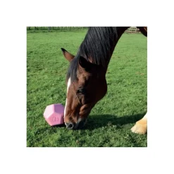 LA GEE Jouet à rouler cheval Drop Feeder - La Gée< Enrichissement Pour Chevaux